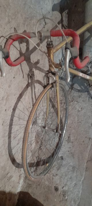 Bicicleta antigua dal carretera