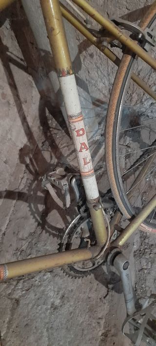 Bicicleta antigua dal carretera
