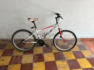 Bicicleta para adolescente