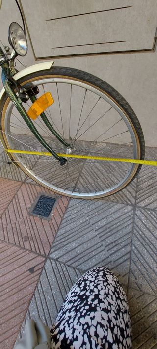 Bicicleta paseo Vintage