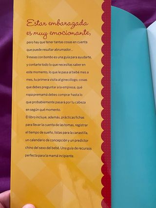 Libro 9 meses con bombo 