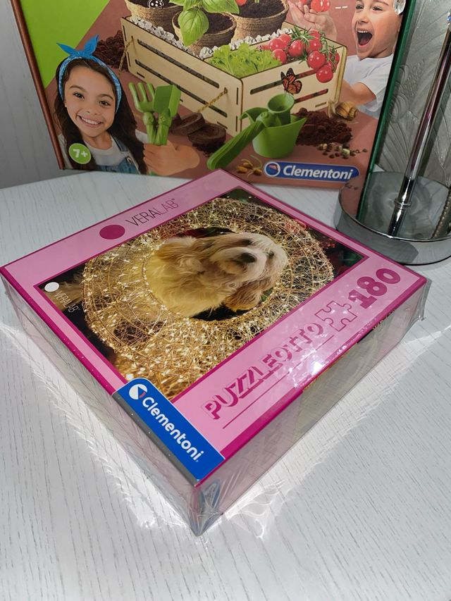 Lotto 2 Giochi Clementoni stile Montessori