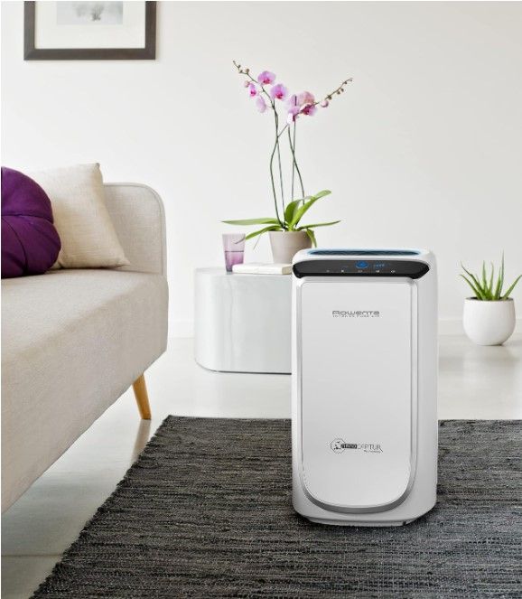 Purificador Rowenta Intense Pure Air