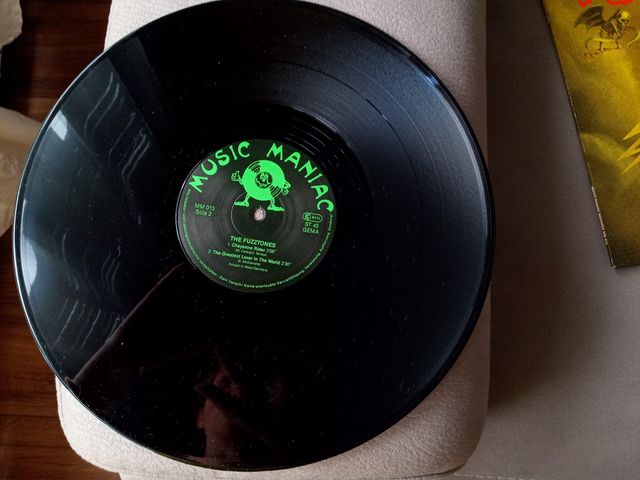 Fuzztones Nine Months Later Vinile 1988