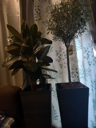 Maceta 36x36x70cm nueva