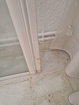 Mampara bañera baño blanca plato ducha