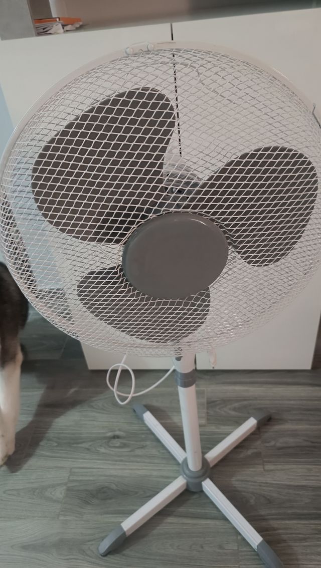Ventilatore