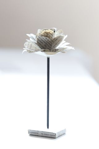 Tamron SP 70-200mm F 2.8 VC para Canon