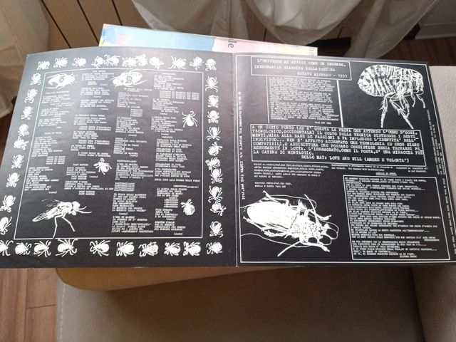 Fall Out Mondo Criminale LP Vinile 1988