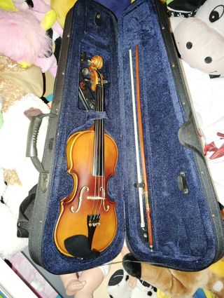 Violín