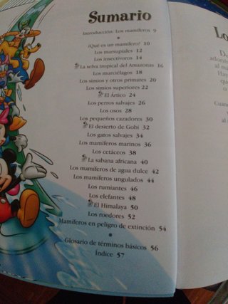 Enciclopedia Disney 24 libros. El maravilloso mund