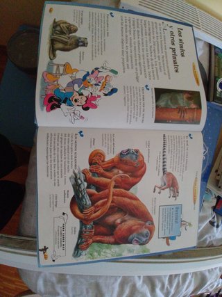 Enciclopedia Disney 24 libros. El maravilloso mund