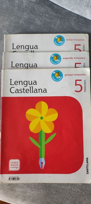 Varios Libros 5 PRIMARIA SANTILLANA