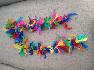 Boa de plumas