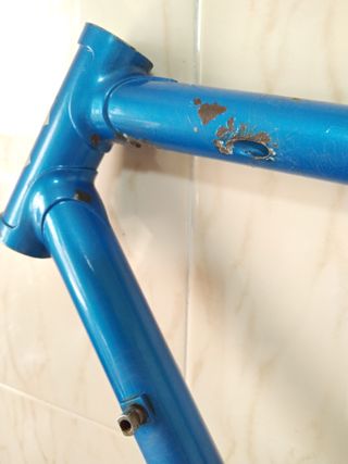 CINELLI PROXIMA