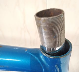 CINELLI PROXIMA
