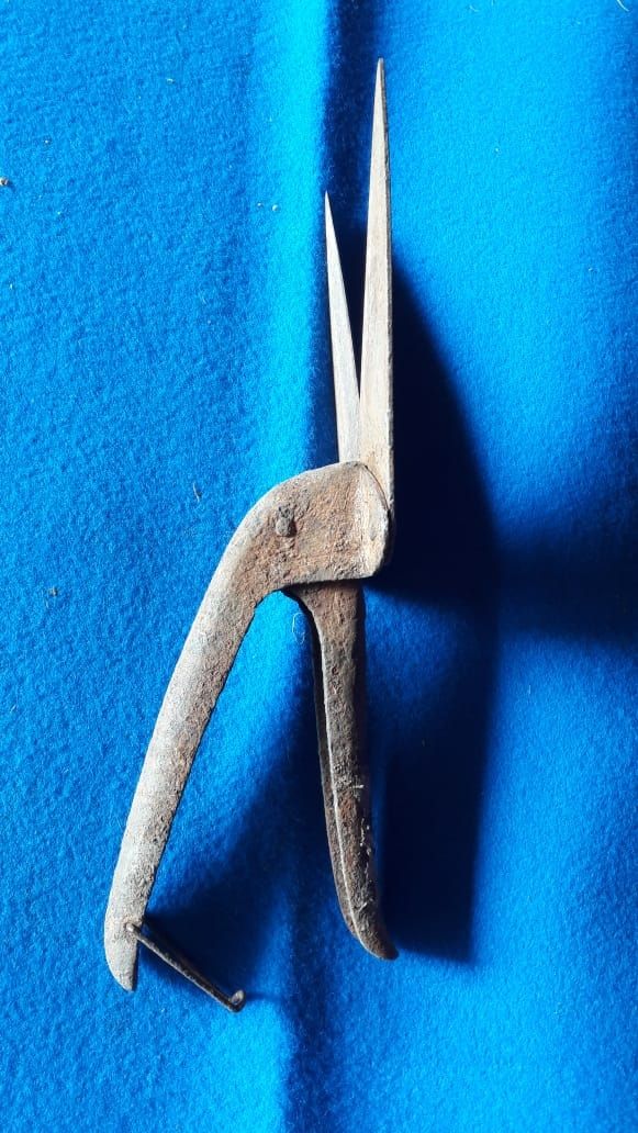 Antica forbice cesoie anni 30