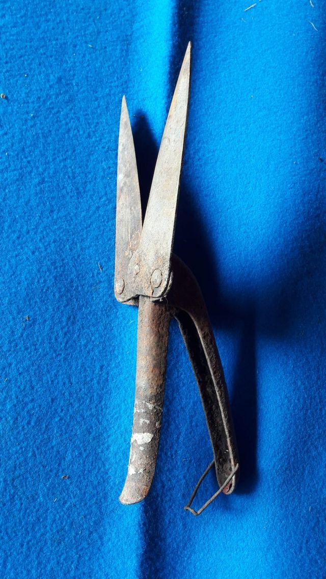 Antica forbice cesoie anni 30