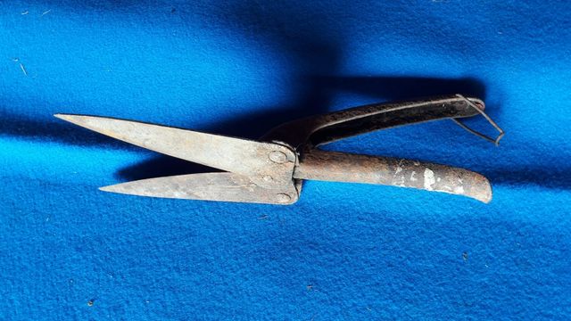 Antica forbice cesoie anni 30