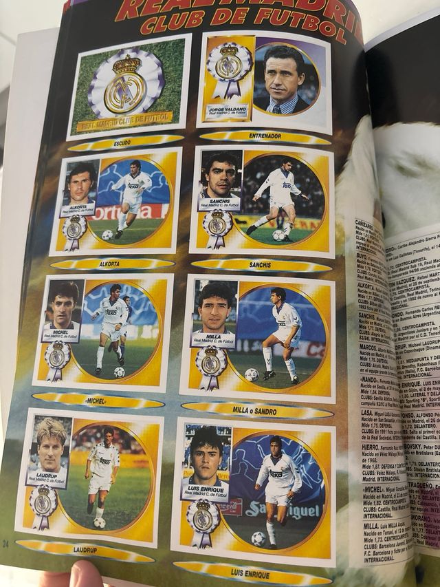 Album fascimil liga 94 95