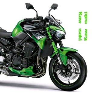 Pegatinas horquilla Kawasaki Z900