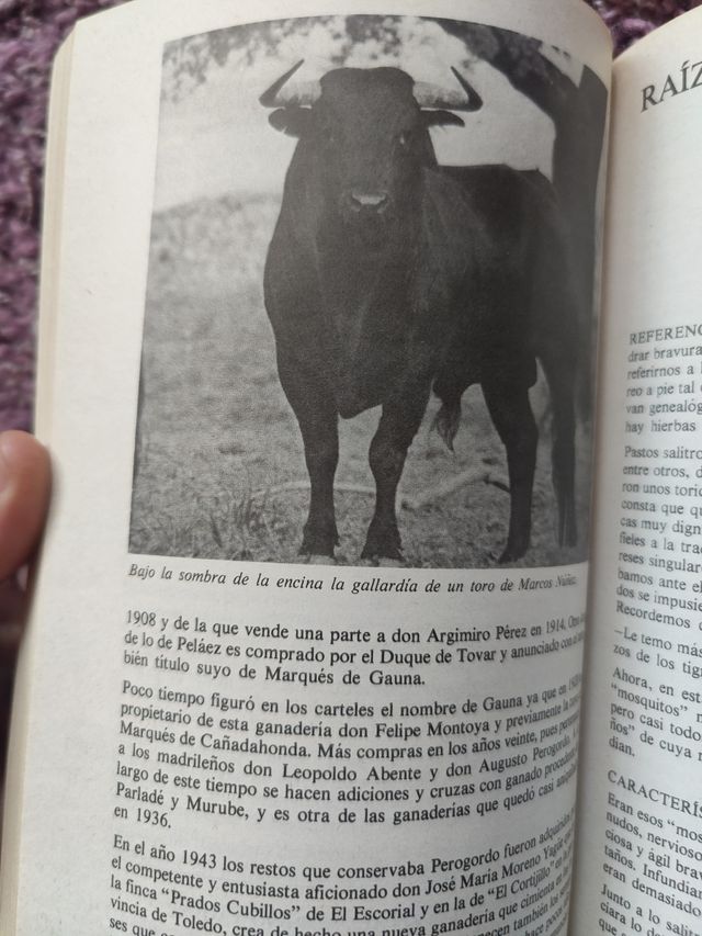 Libros Toros
