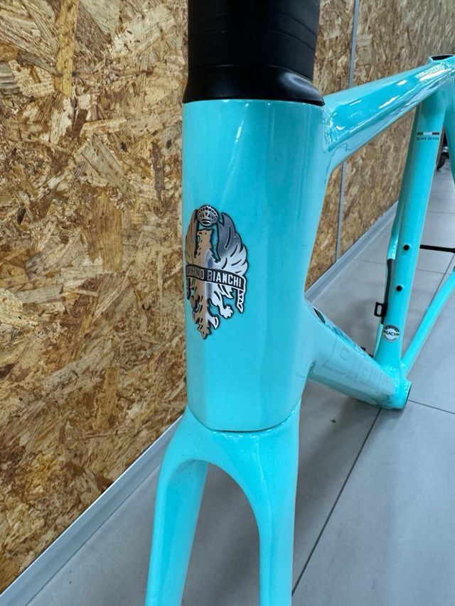 Cuadro Bianchi Specialissima Talla 55