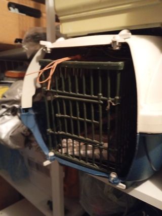 trasportini cane o gatto