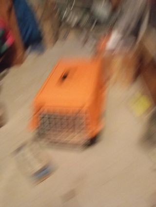 trasportini cane o gatto