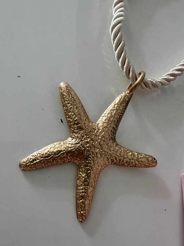 estrella de mar