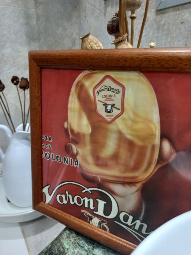 COLONIA.VARÓN DANDY.