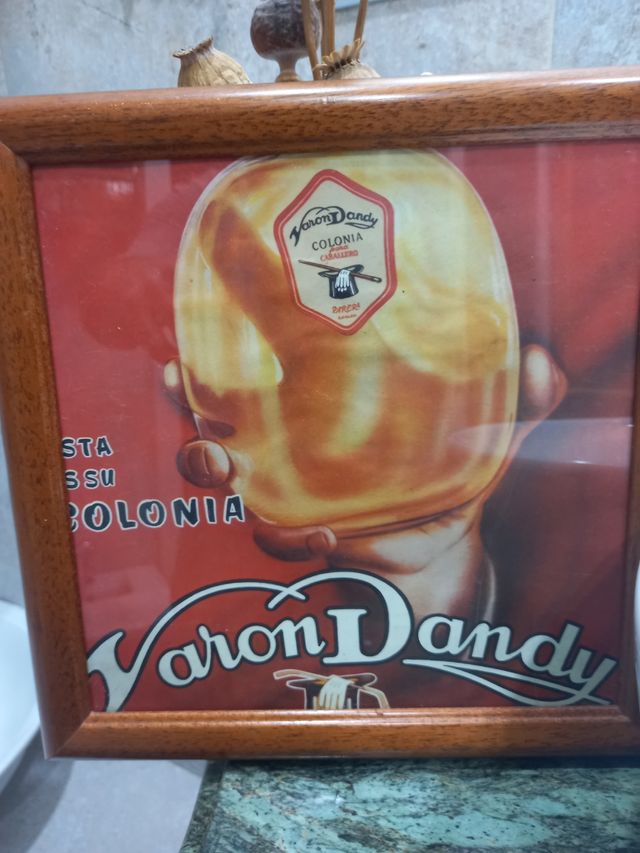 COLONIA.VARÓN DANDY.