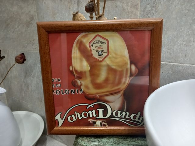 COLONIA.VARÓN DANDY.