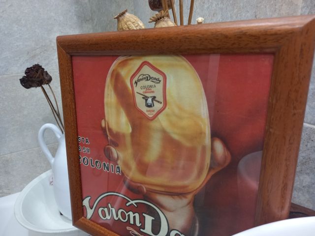 COLONIA.VARÓN DANDY.