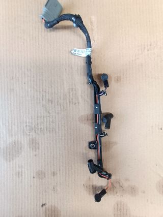 Cableado calentadores Citroen C3 Picasso 1.6 blueh