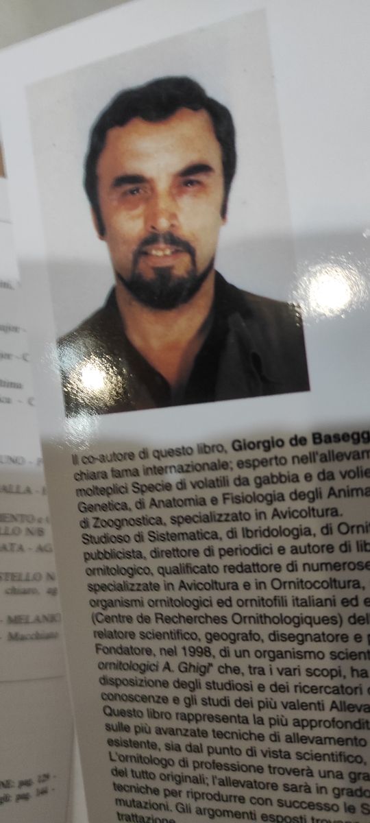 Libro Giorgio de Baseggio Massimo Nata