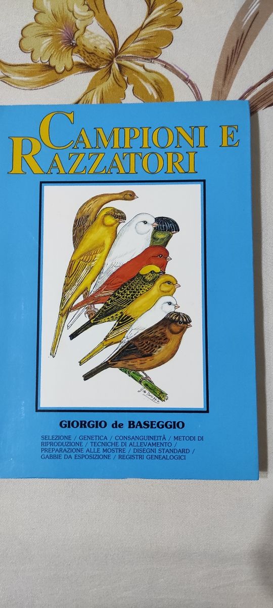 Libro Giorgio de Baseggio