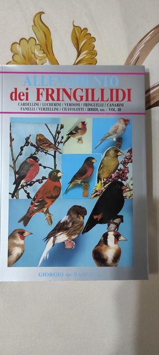 Libro di Giorgio de Baseggio