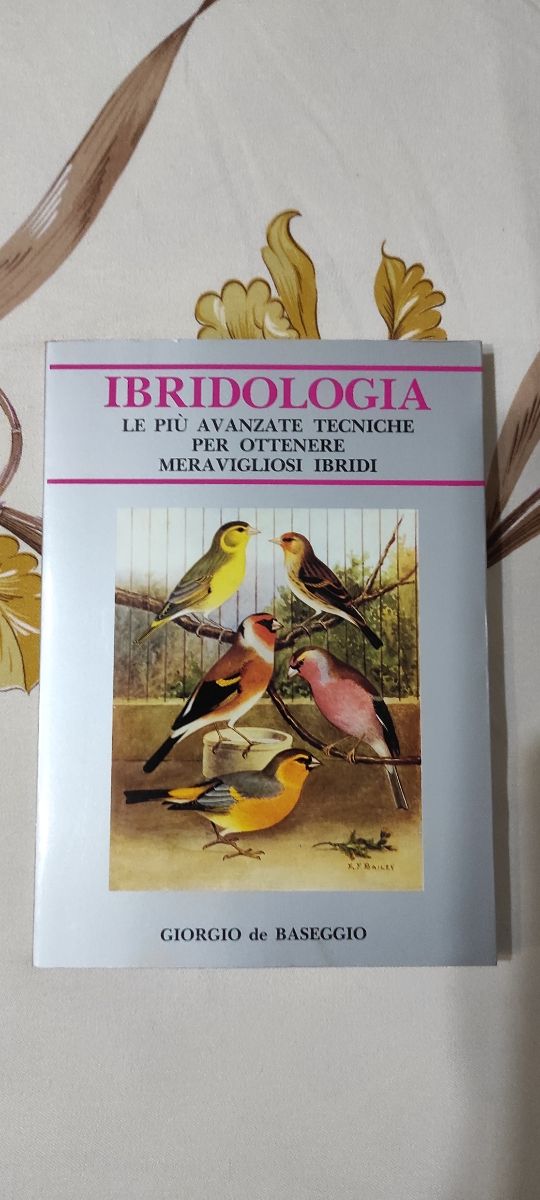 Libro di Giorgio de Baseggio