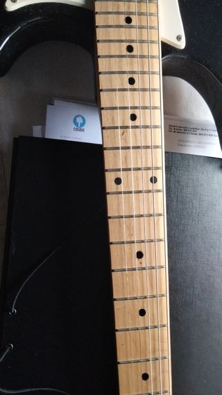 Guitarra beringher en 70,€