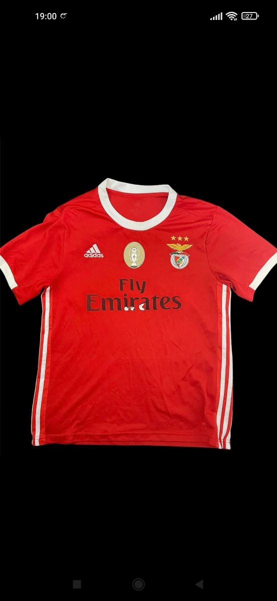 Benfica campeão