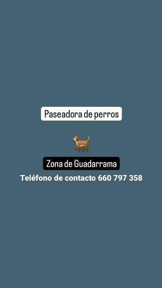 Paseadora de perros
