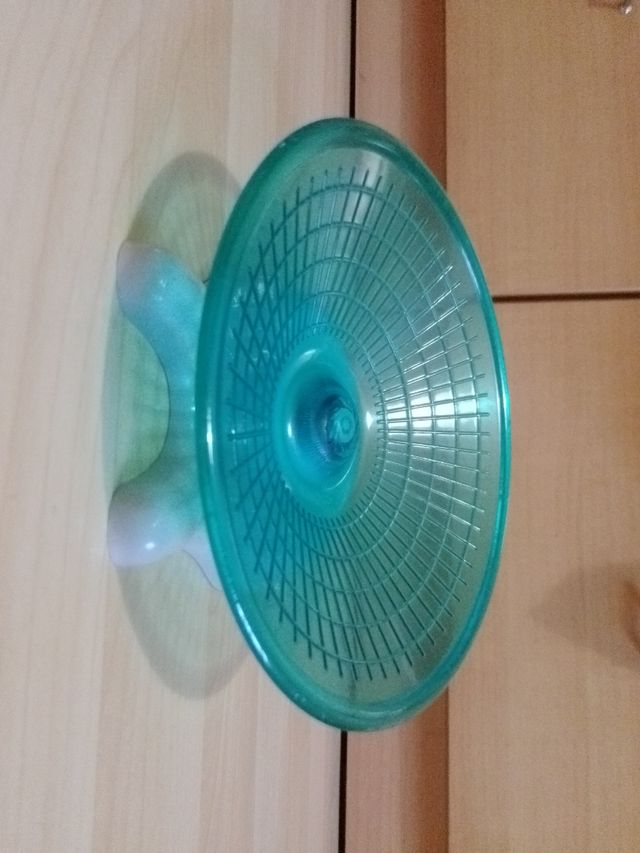 Ruedas para roedores