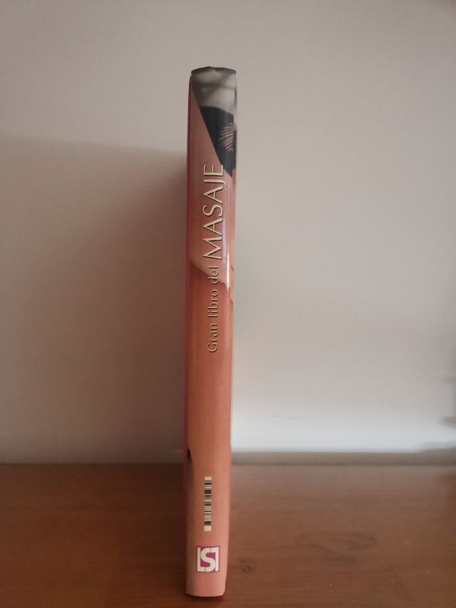 Gran libro de masaje. Stewart Mitchell