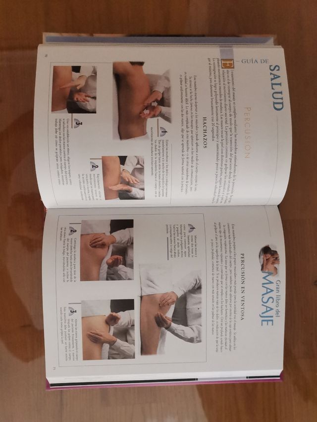 Gran libro de masaje. Stewart Mitchell