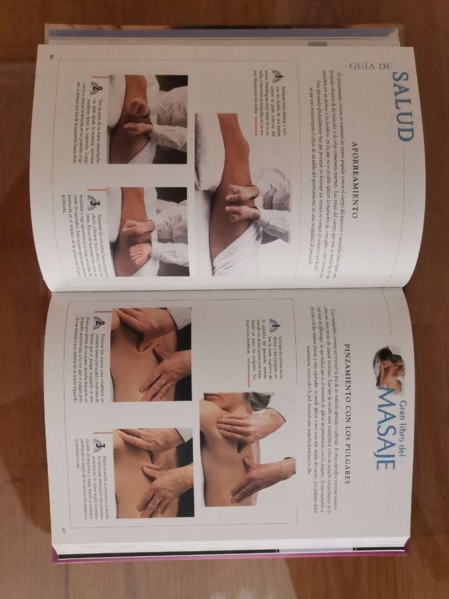 Gran libro de masaje. Stewart Mitchell