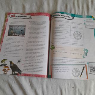 Libro ciencias 4° primaria Anaya