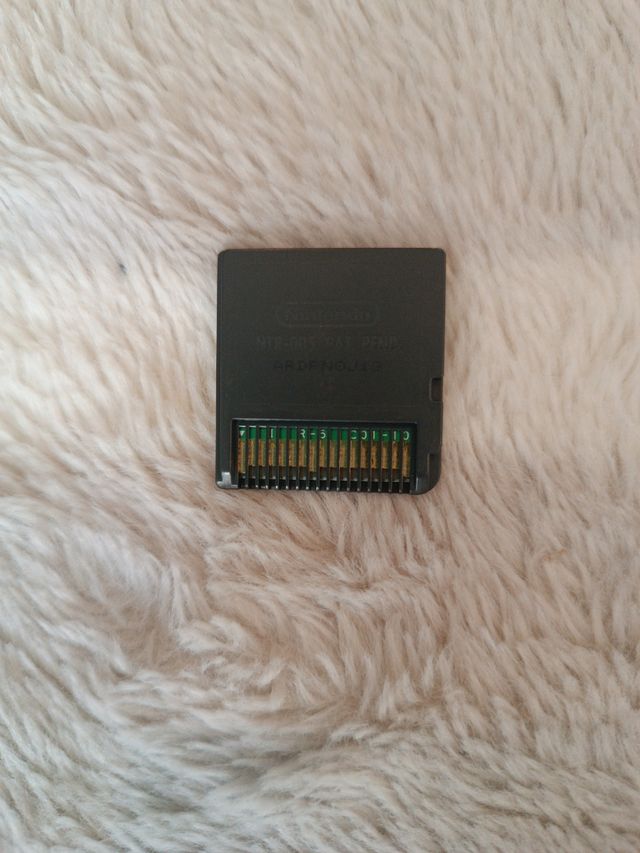 Juego Nintendo DS: American Dragon