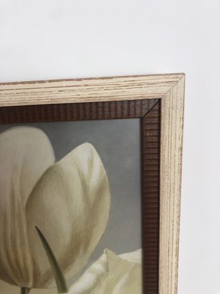 Lote de 6 cuadros impecables