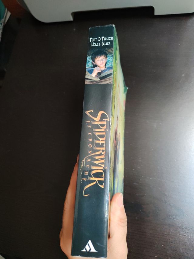 Le cronache di Spiderwick